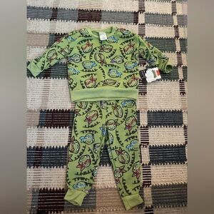Nickelodeon Green Ninja Turtle Sweatsuit Set